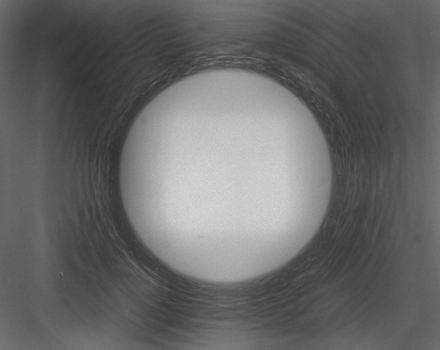 X0000083980748200702232044