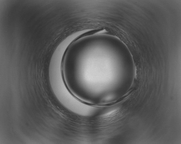X0000083980750200702232044