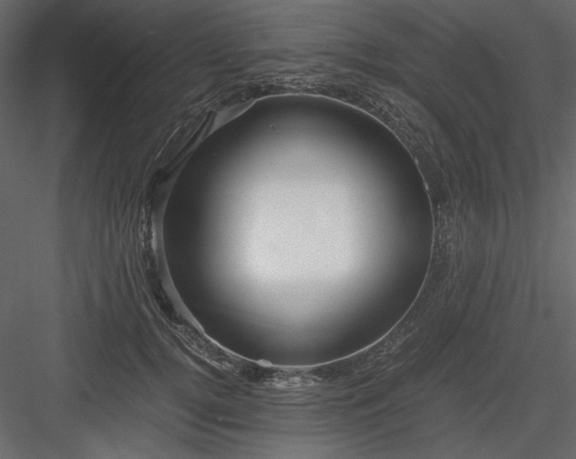 X0000083980752200702232044