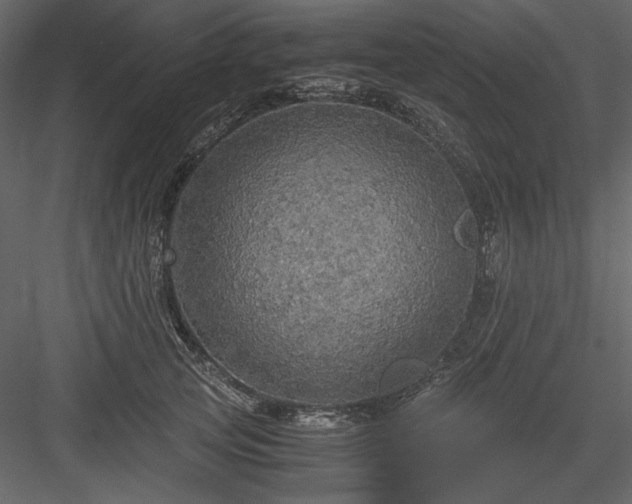 X0000083980753200702232044