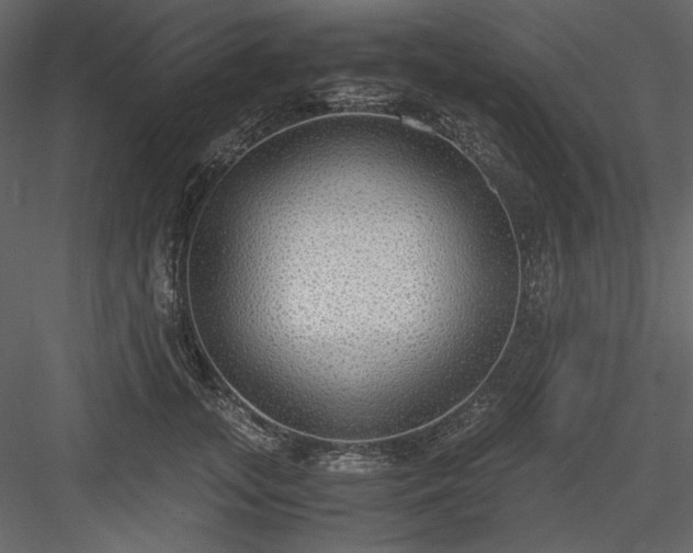 X0000083980755200702232044