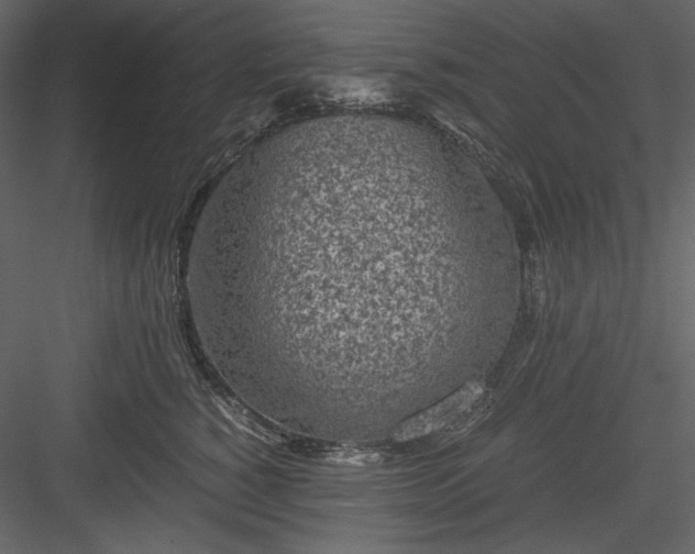 X0000083980760200702232044