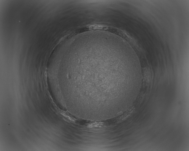 X0000083980761200702232044