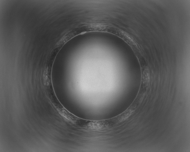X0000083980764200702232044