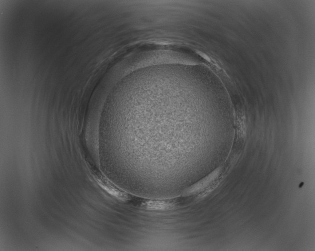 X0000083980766200702232044