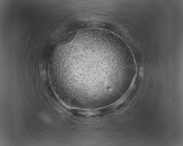 X0000083980771200702232043