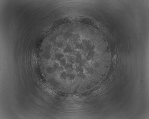 X0000083980772200702232043