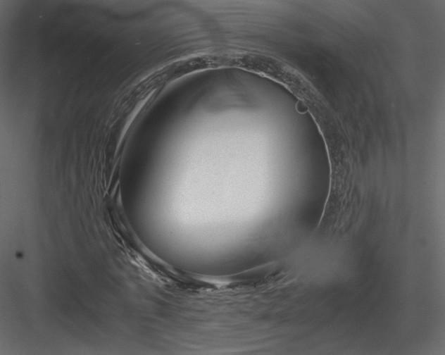 X0000083980773200702232043