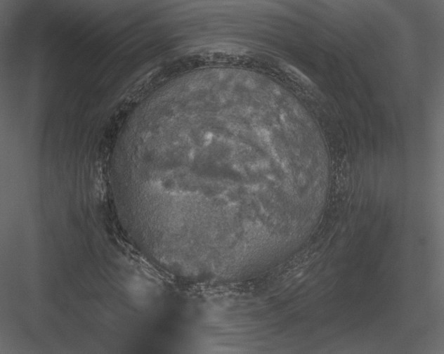 X0000083980774200702232043