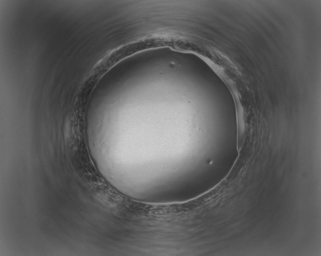 X0000083980776200702232043