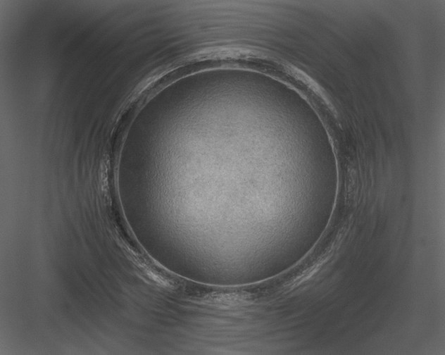 X0000083980778200702232043