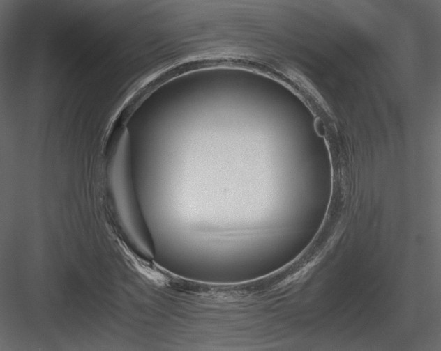 X0000083980781200702232043