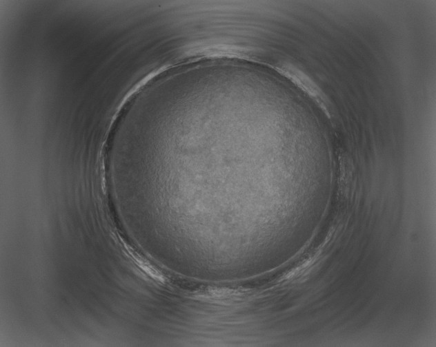 X0000083980782200702232043