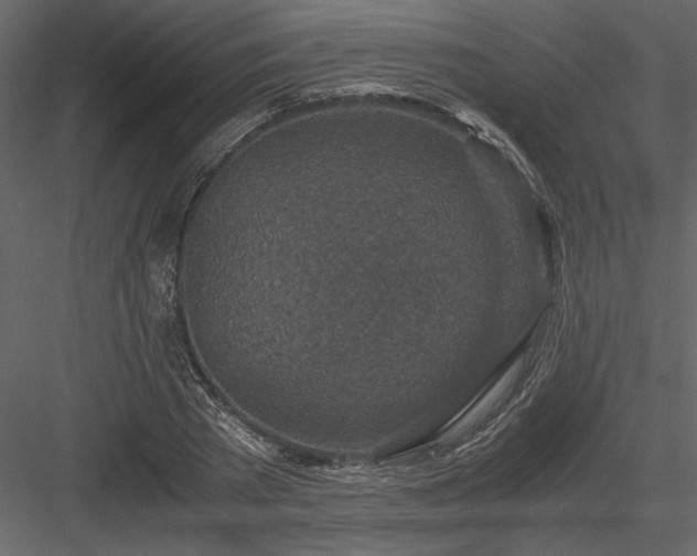 X0000083980785200702232043