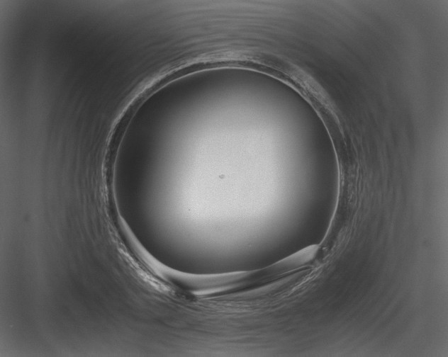 X0000083980789200702232043