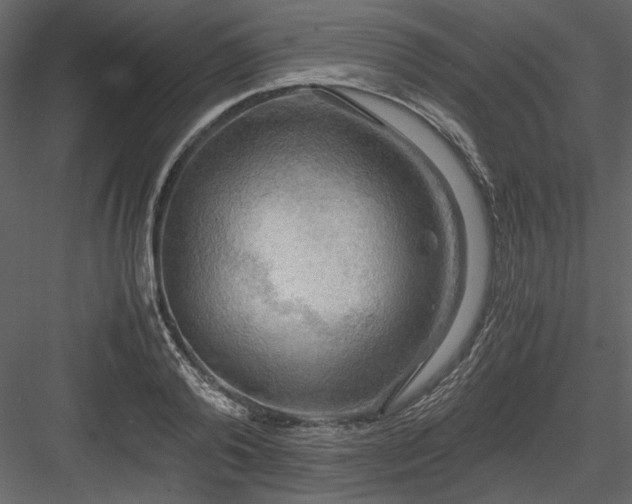 X0000083980792200702232043