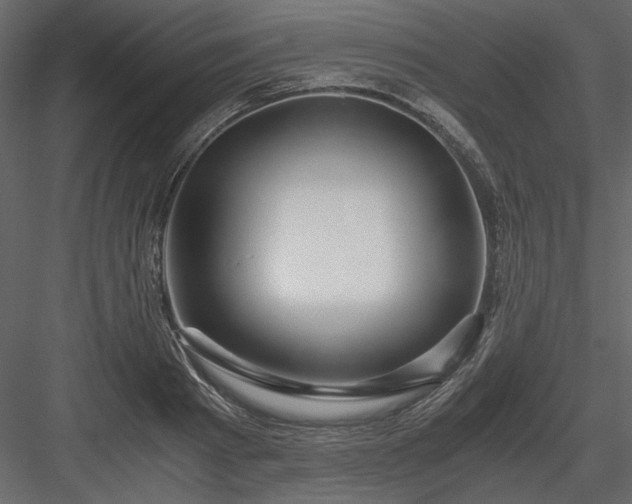 X0000083980793200702232043