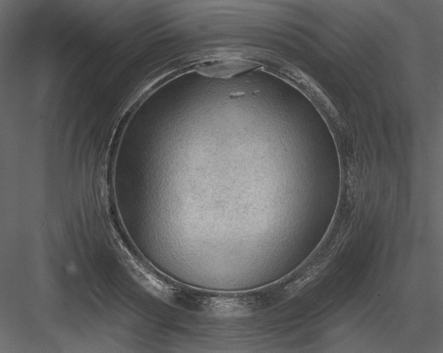 X0000083980794200702232043