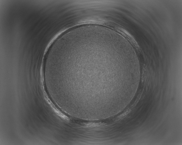 X0000083980796200702232043