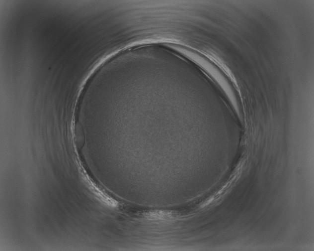 X0000083980797200702232043