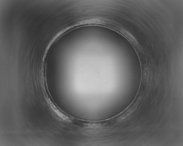 X0000083980800200702232043