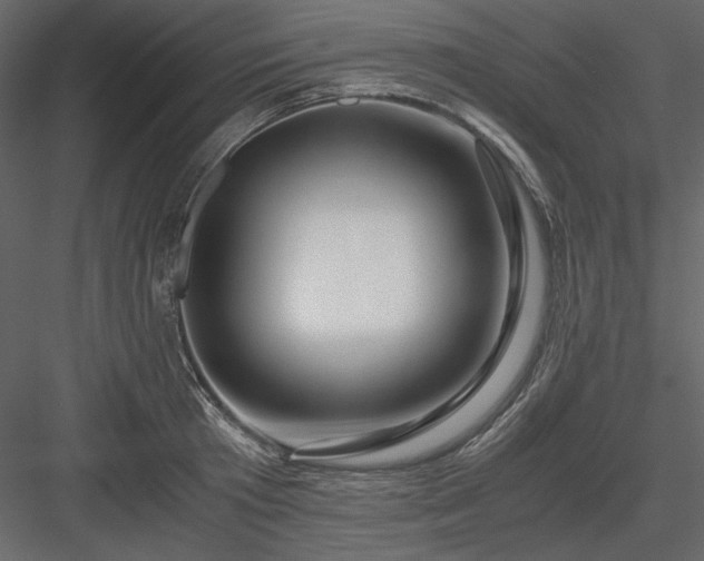X0000083980801200702232043