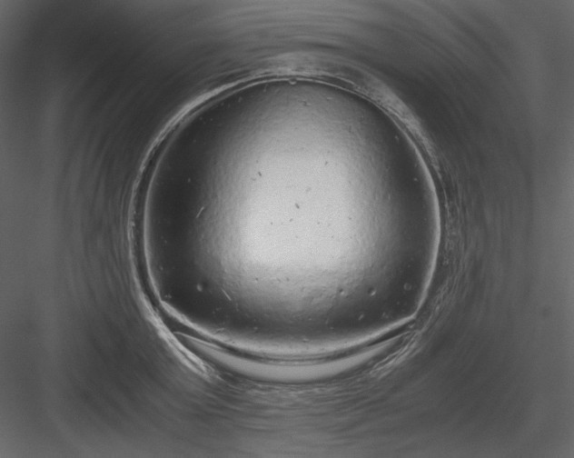 X0000083980803200702232043