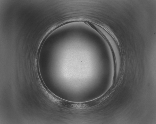 X0000083980805200702232043