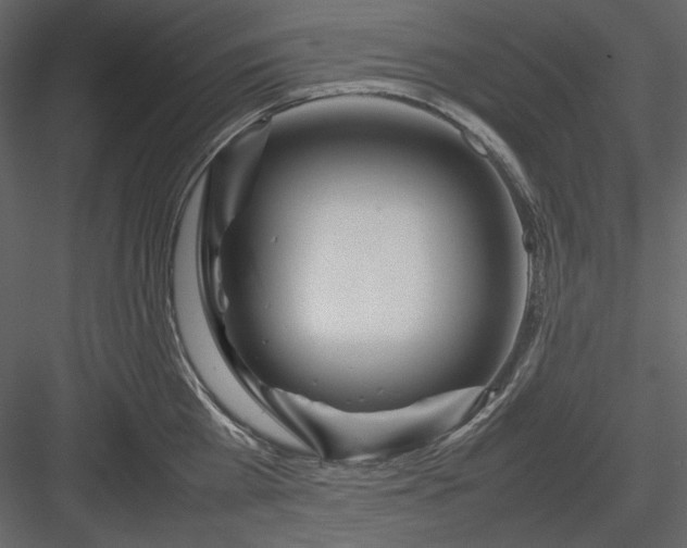 X0000083980809200702232043