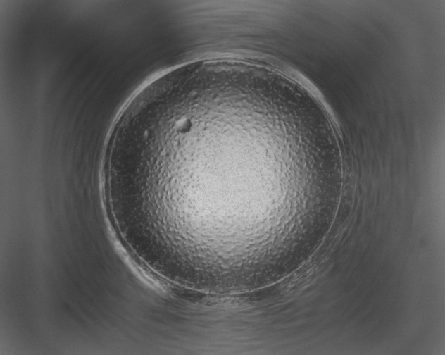 X0000083980811200702232043