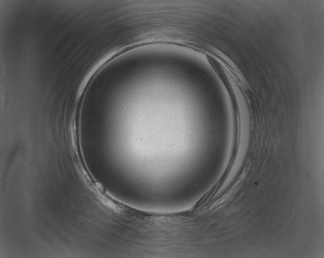X0000083980812200702232043