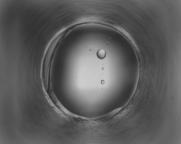 X0000083980815200702232043