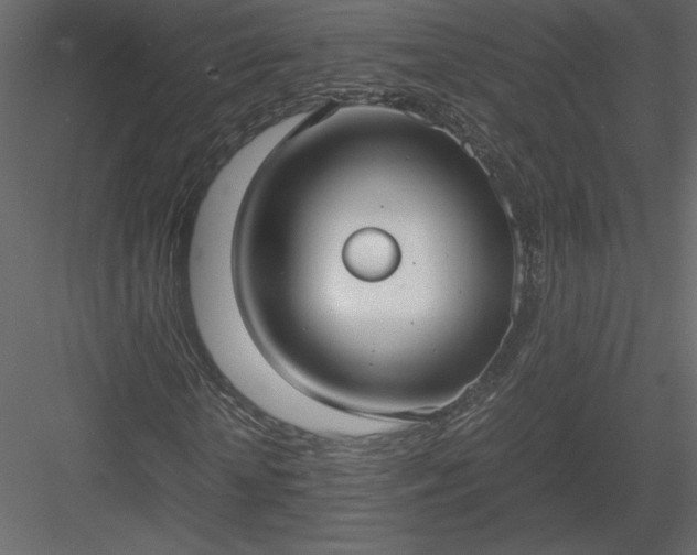 X0000083980818200702232042