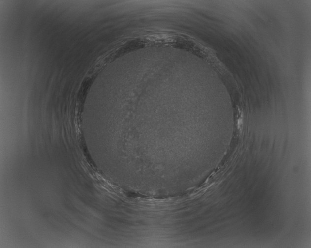 X0000083980819200702232042