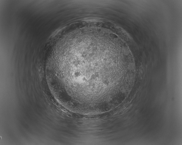X0000083980821200702232042