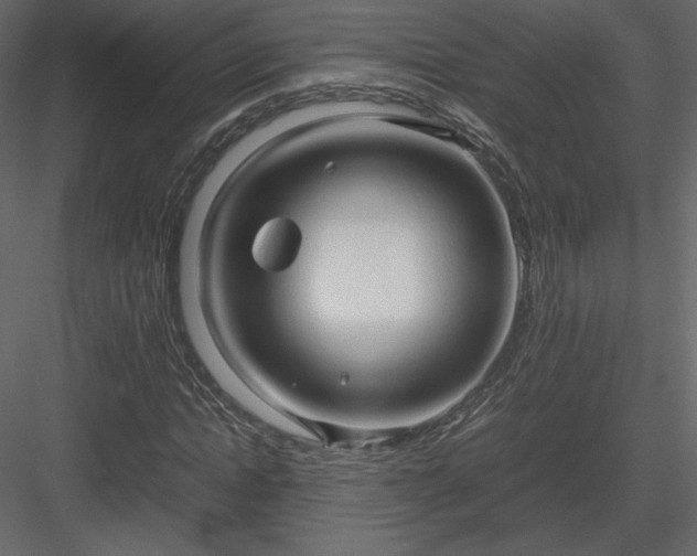 X0000083980822200702232042