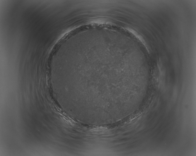 X0000083980823200702232042