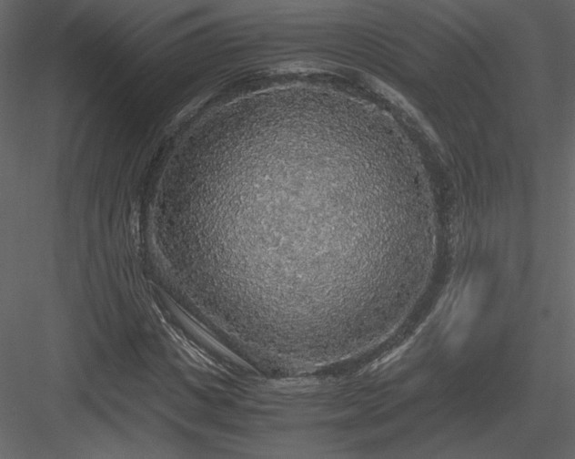 X0000083980825200702232042