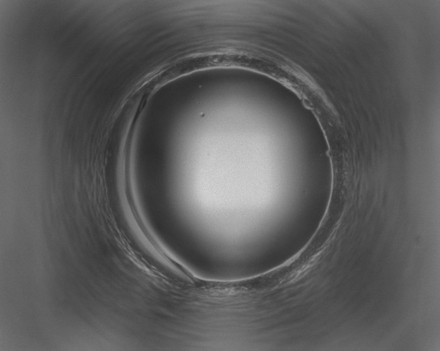 X0000083980826200702232042