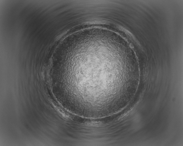 X0000083980833200702232042