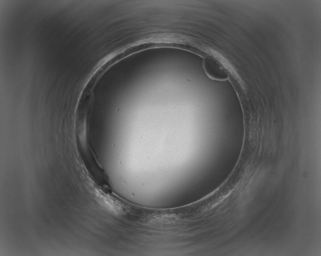 X0000083980837200702232042