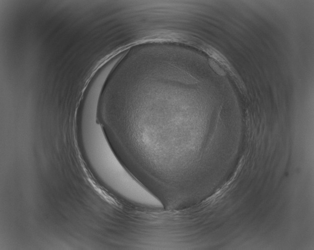 X0000083980842200702232042