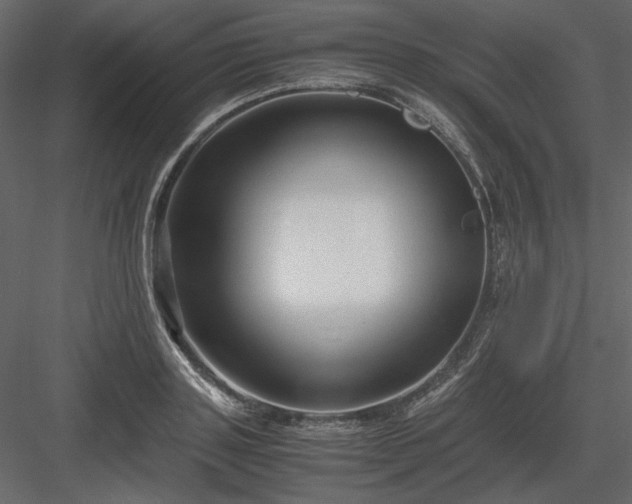 X0000083980843200702232042