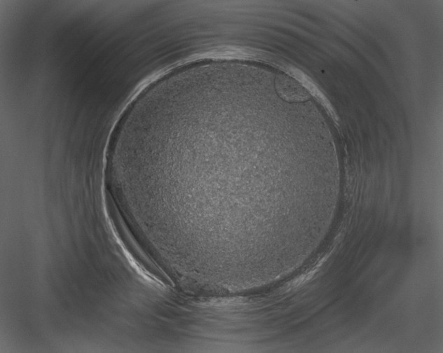 X0000083980845200702232042