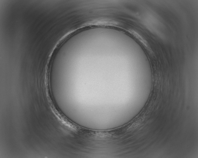 X0000083980848200702232042