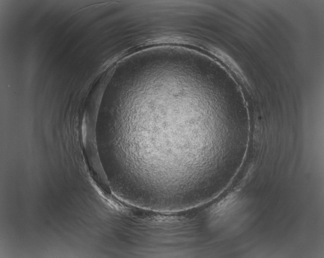 X0000083980849200702232042