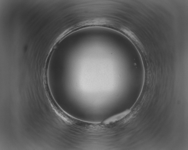 X0000083980850200702232042