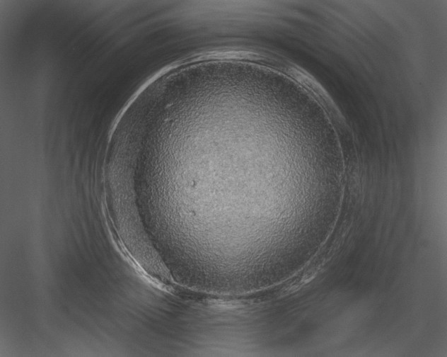 X0000083980852200702232042