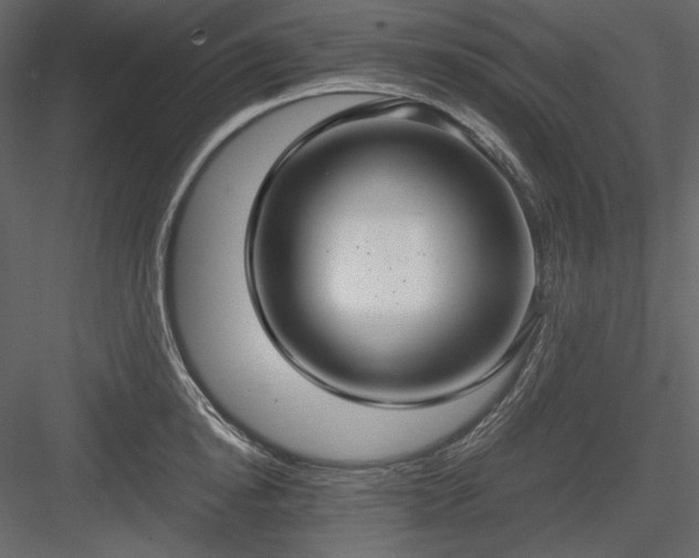 X0000083980854200702232042