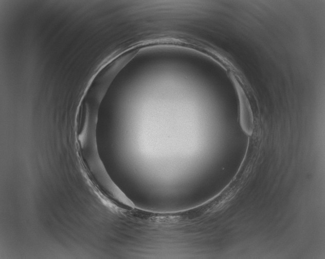 X0000083980858200702232043